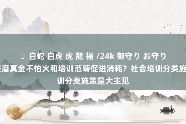✨白蛇 白虎 虎 龍 福 /24k 御守り お守り 如何表示在磨真金不怕火和培训范畴促进消耗？社会培训分类施策是大主见