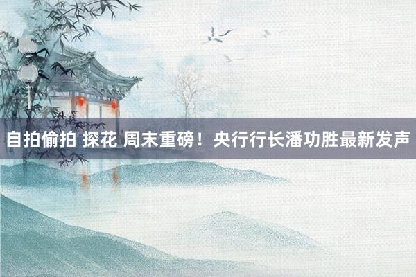 自拍偷拍 探花 周末重磅！央行行长潘功胜最新发声
