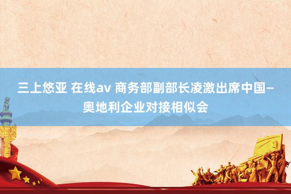 三上悠亚 在线av 商务部副部长凌激出席中国—奥地利企业对接相似会