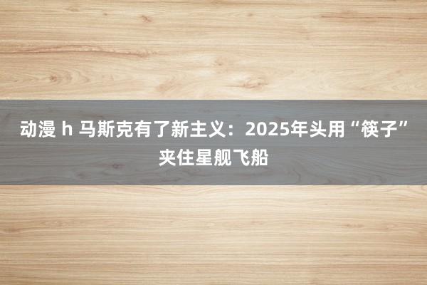 动漫 h 马斯克有了新主义：2025年头用“筷子”夹住星舰飞船