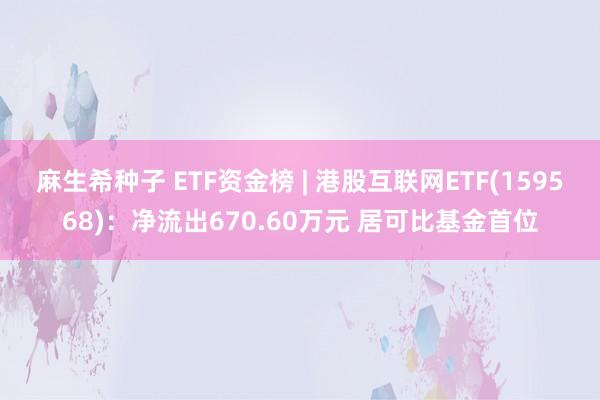 麻生希种子 ETF资金榜 | 港股互联网ETF(159568)：净流出670.60万元 居可比基金首位