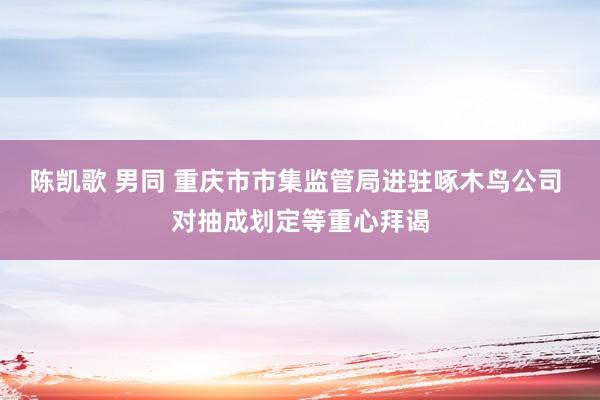 陈凯歌 男同 重庆市市集监管局进驻啄木鸟公司 对抽成划定等重心拜谒