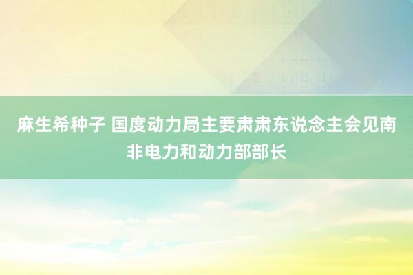 麻生希种子 国度动力局主要肃肃东说念主会见南非电力和动力部部长